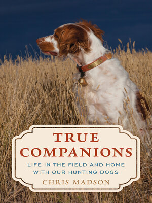 cover image of True Companions